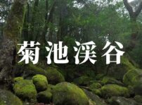 菊池渓谷