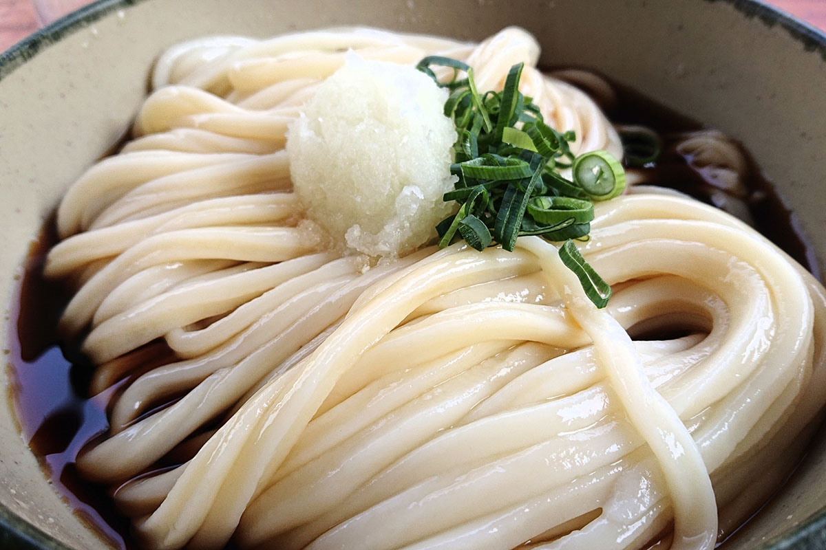 香川のうどん店をリサーチ